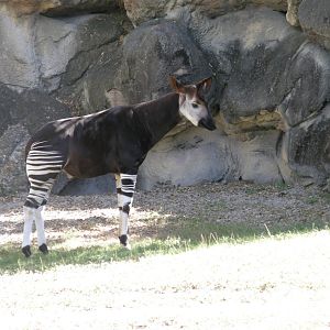 wpalm beach dec08 031