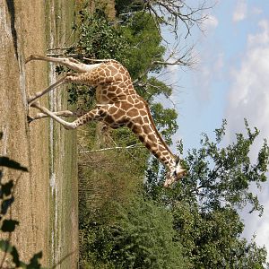 wpalm beach dec08 036