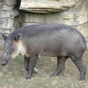 wpalm beach dec08 709