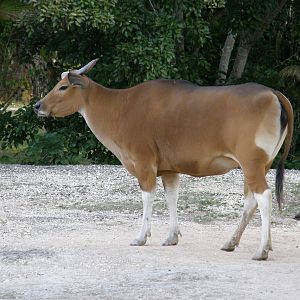 wpalm beach dec08 680