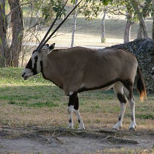 wpalm beach dec08 695