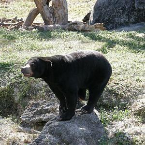 wpalm beach dec08 498