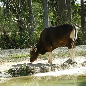 wpalm beach dec08 512