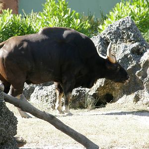 wpalm beach dec08 546