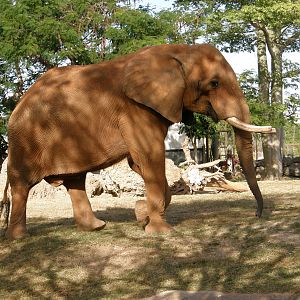 wpalm beach dec08 607