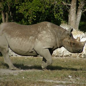 wpalm beach dec08 624