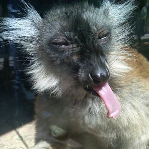 IMG00779-20110420-1003