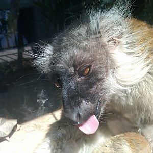 IMG00780-20110420-1004