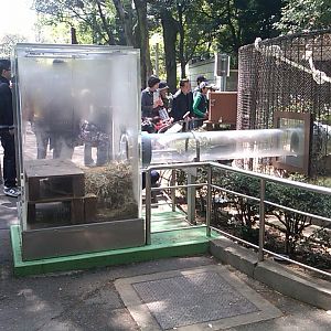 Otter, Japanese Badger and Civet mixed exhibit