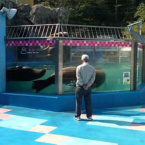 Sea Paradise - Toba Japan