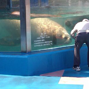 Sea Paradise - Toba Japan