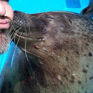 Sea Paradise - Toba Japan