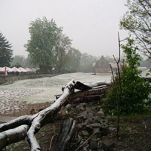 Zoo Wrocław - 3.05.2011 - WINTER