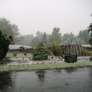 Zoo Wrocław - 3.05.2011 - WINTER