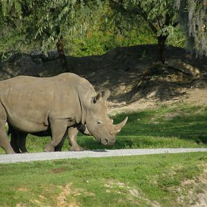 wpalm beach dec08 464