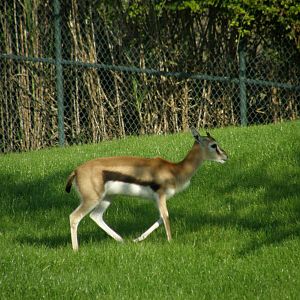 wpalm beach dec08 474