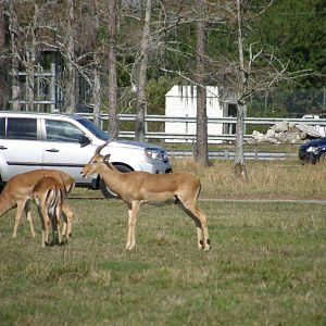 wpalm beach dec08 355