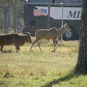 wpalm beach dec08 193