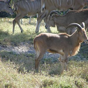 wpalm beach dec08 268