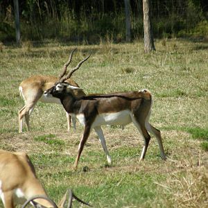 wpalm beach dec08 309