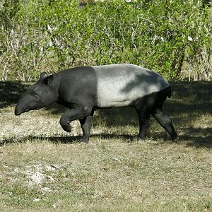 wpalm beach dec08 071