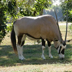 wpalm beach dec08 089