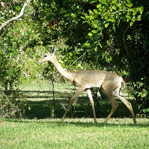 wpalm beach dec08 136