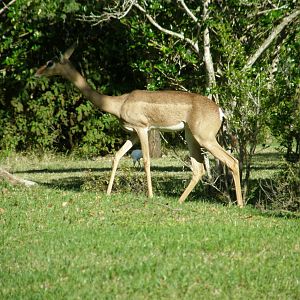 wpalm beach dec08 137