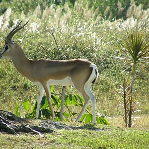 wpalm beach dec08 142