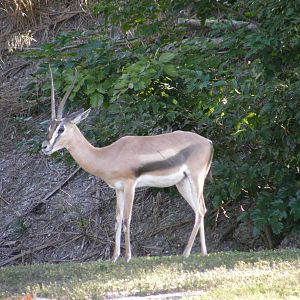 wpalm beach dec08 150