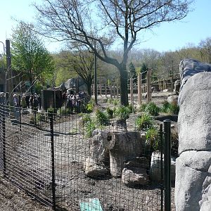 Right side of African Elephant Crossing