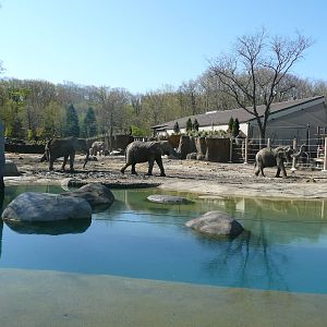 Whole left side of yard