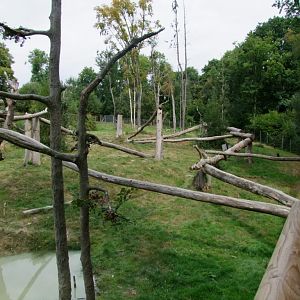 Enclosure of Tremarctos ornatus