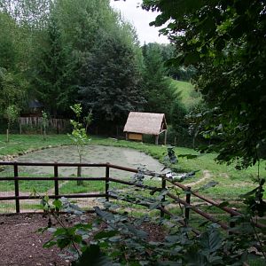 Enclosure of Tapirus indicus