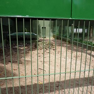 Giant otter enclosure