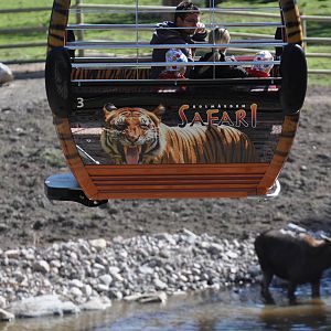 Safari cableway