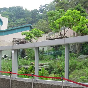 Giant Panda exhibit