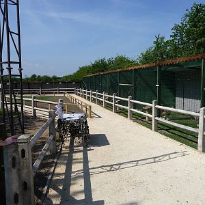 New Falconry aviaries
