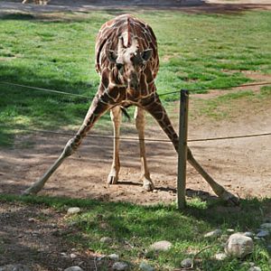 umm...where do I go now?