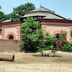 Zoo Wrocław 2006 r.