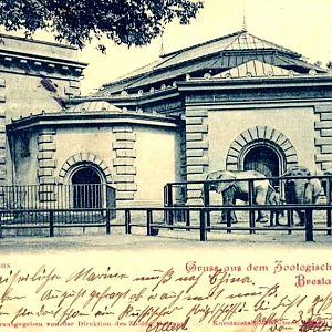 Zoo Wrocław 1920-1925