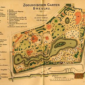 Zoo Wrocław 19..???