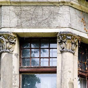 Zoo Wrocław - frogs