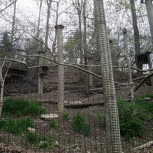 Bird of Prey Exhibit