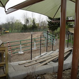 Asian Elephant Preserve Seating Area