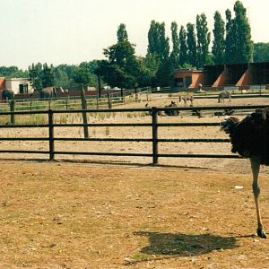 Limburgse Zoo, Genk - Zoo View