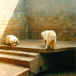 Limburgse Zoo, Genk - Polar bear 'enclosure'