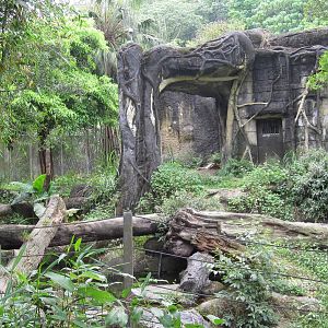 Asian Rainforest - Tiger exhibit