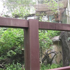 Asian Rainforest - Hornbill aviary