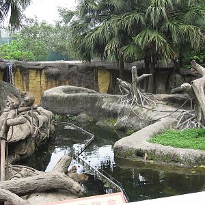 Asian Rainforest - Macaque exhibit